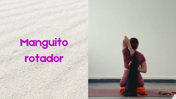 MANGUITO ROTADOR - Multinivel